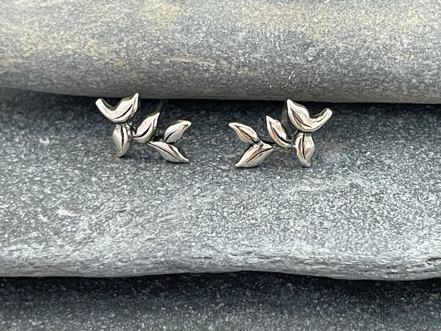Branch - 925 Sterling Silver Stud Earrings - Boxed