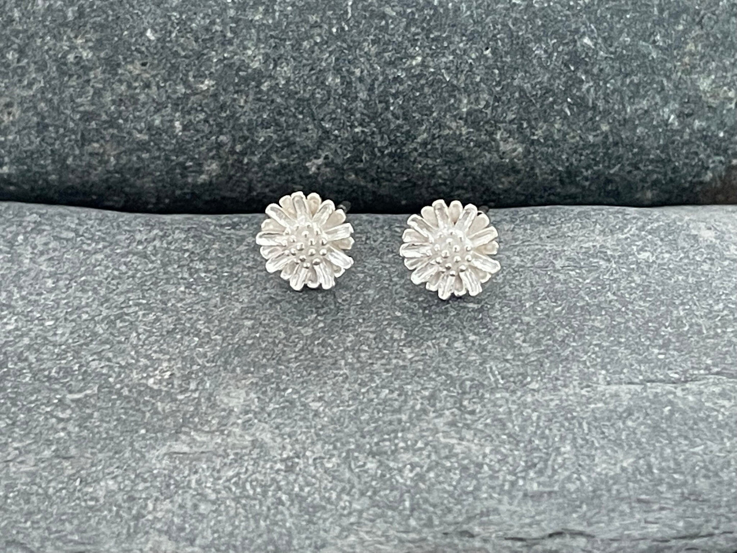 Daisy - 925 Sterling Silver Plain Stud Earrings Boxed