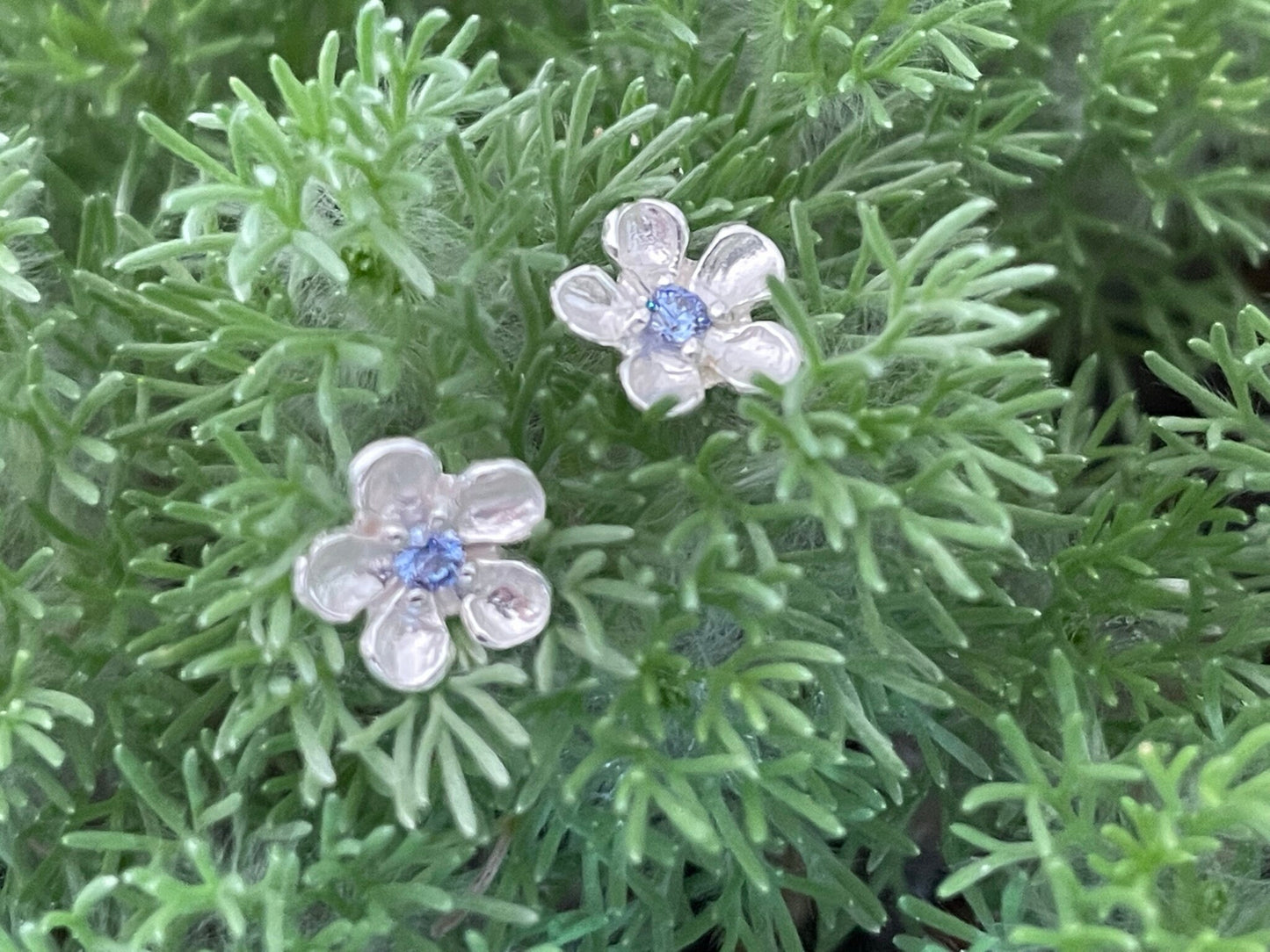 Flower - 925 Sterling Silver Blue Cubic Zirconia CZ Stud Earrings: Forget Me Not. Boxed