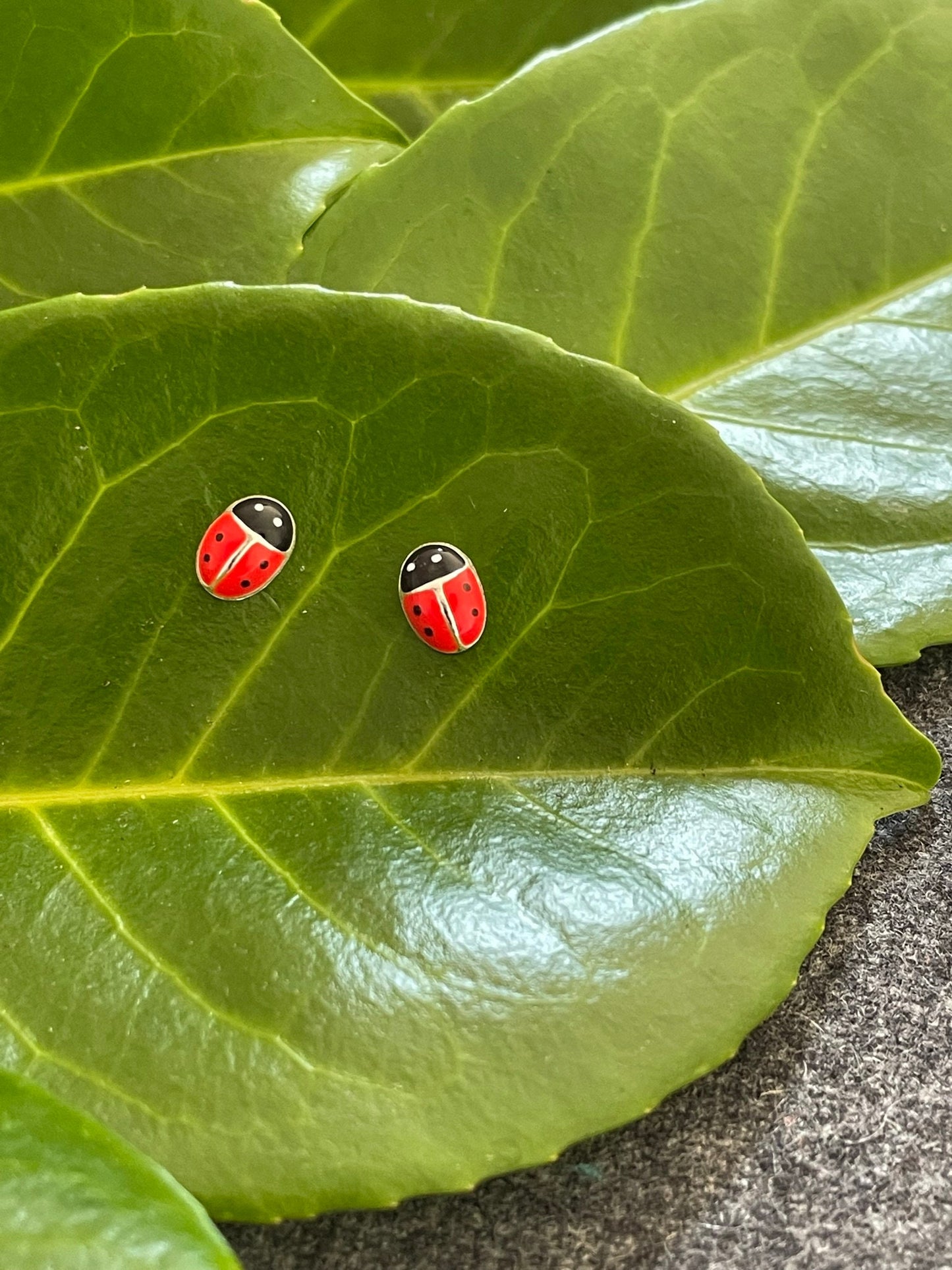 Ladybird - 925 Sterling Silver Stud Earrings