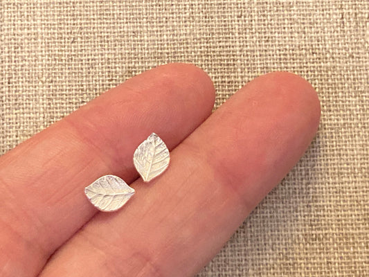 Leaf - 925 Sterling Silver Plain Stud Earrings - Boxed