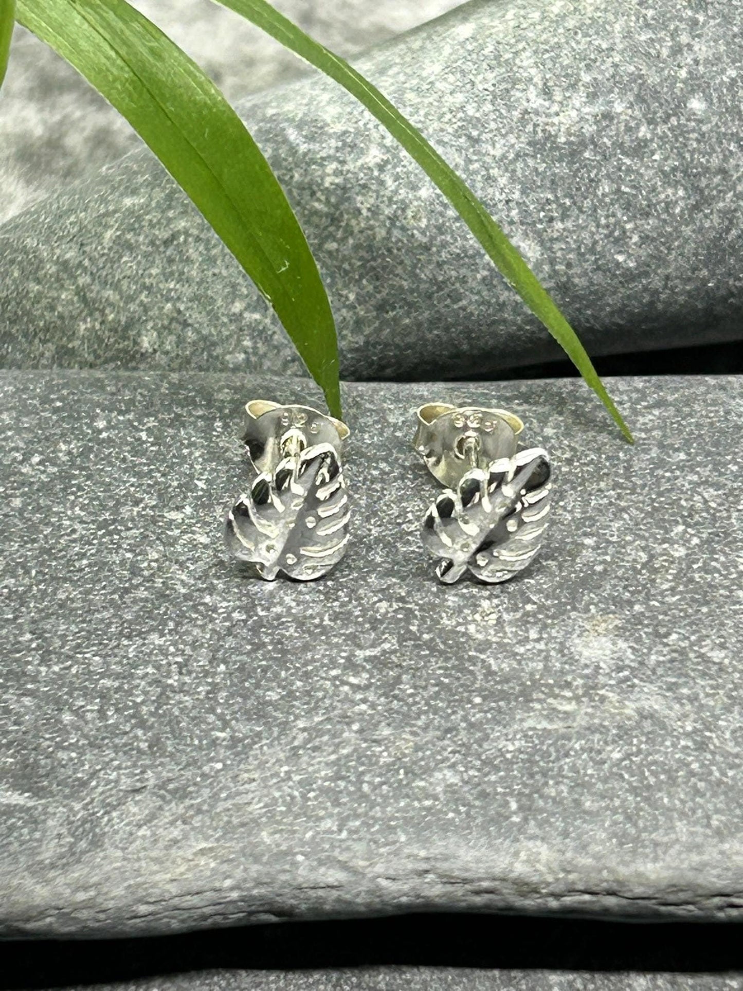 Monstera Leaf - 925 Sterling Silver Plain Stud Earrings - Boxed
